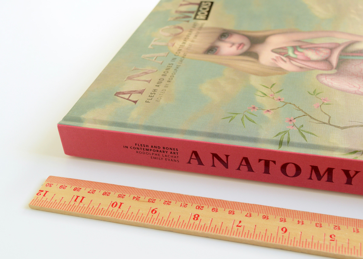 Hine Mizushima Anatomy Rocks Anatomy Art Book