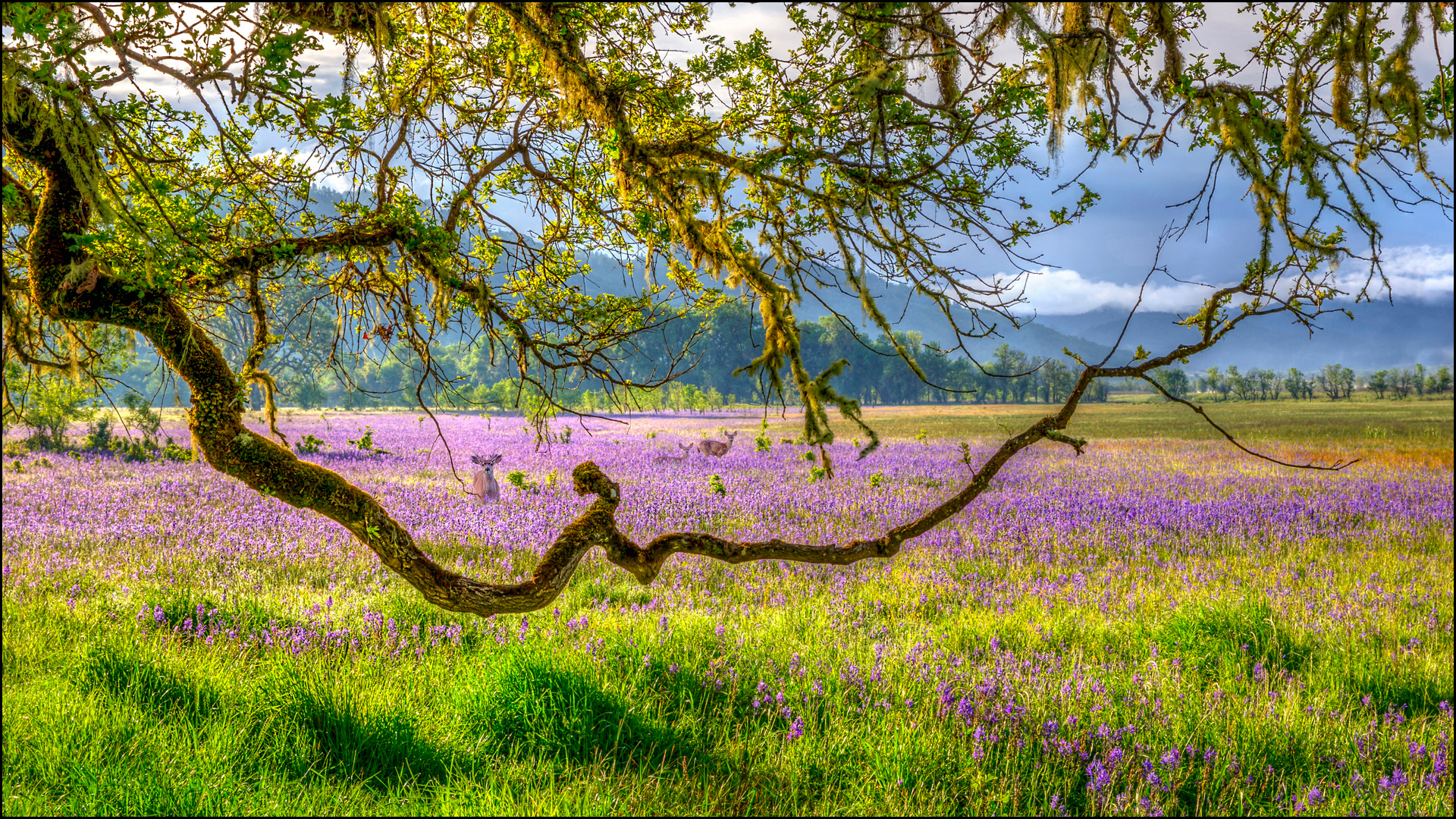 Little Lake Valley