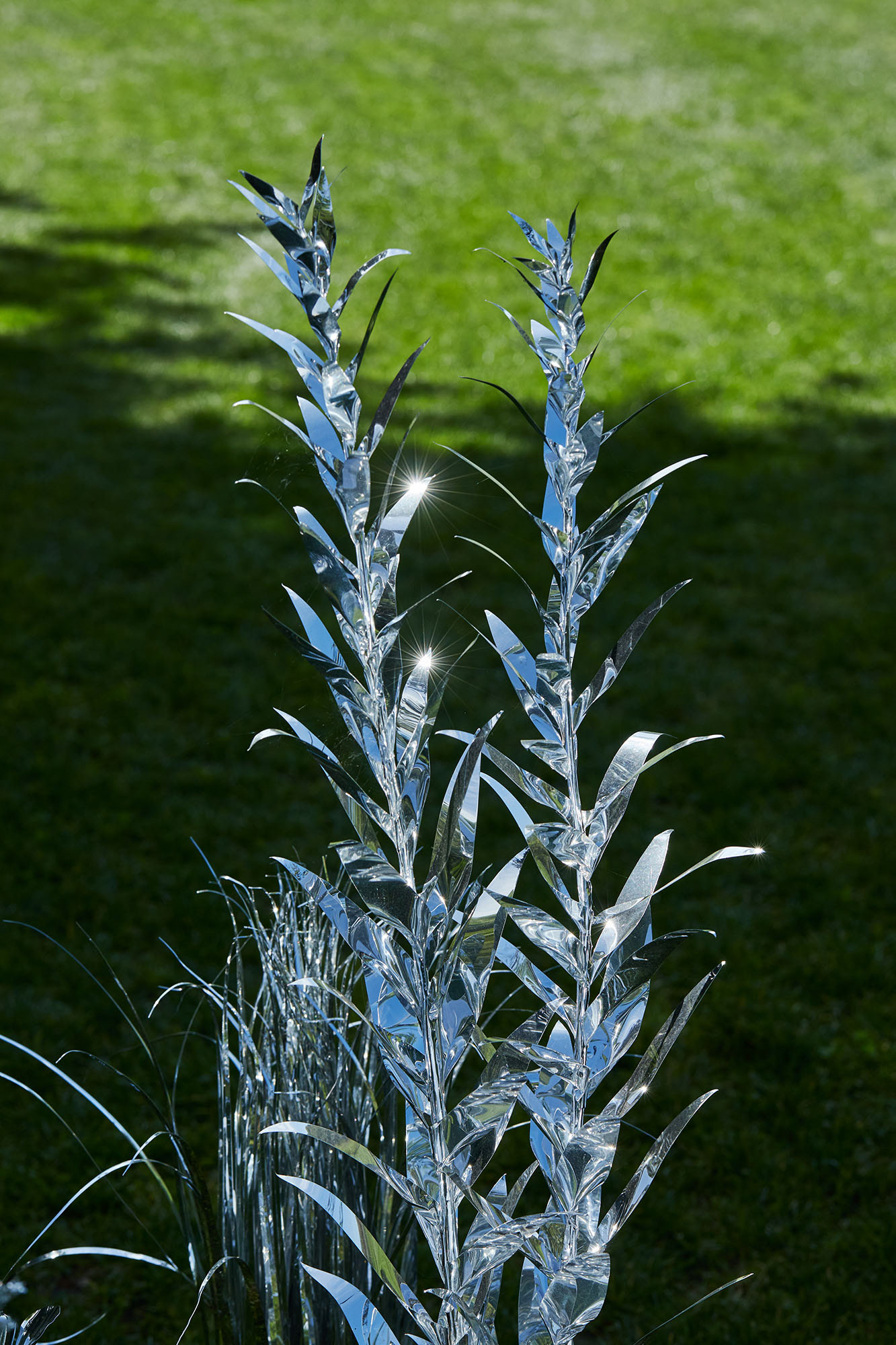 Title: The aluminum garden -structural studies of plants- mirror surface, Year:2019, Material: Aluminium Foil 0.2mm, Photo by Shinji Minegishi
