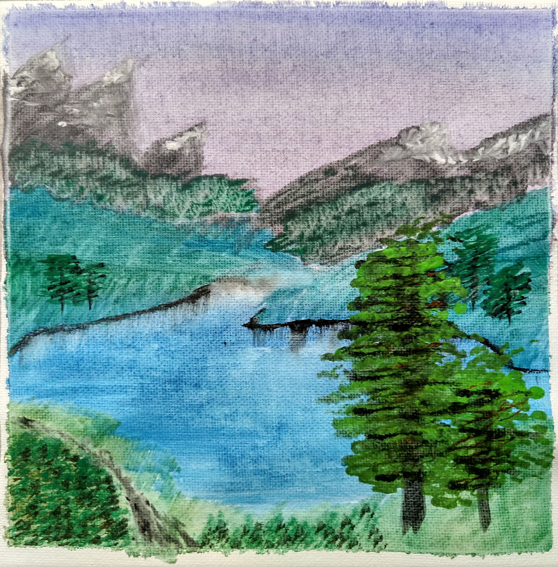 landscape 20x20 canvas sheet