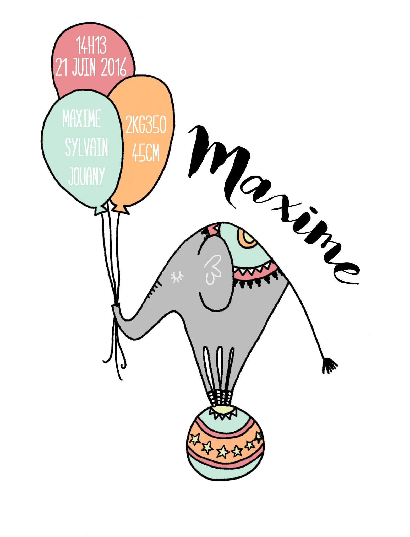 Birth Announcement 2016