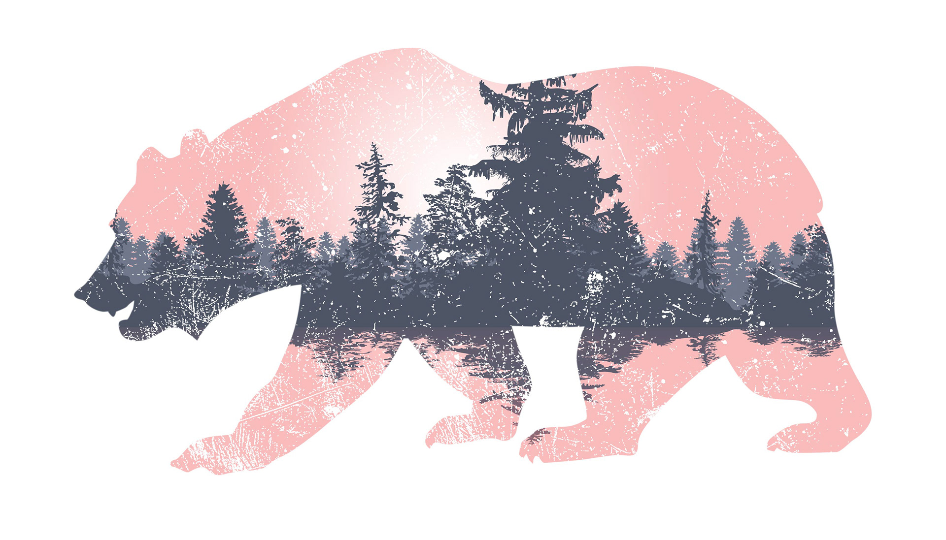 Digital Illustration