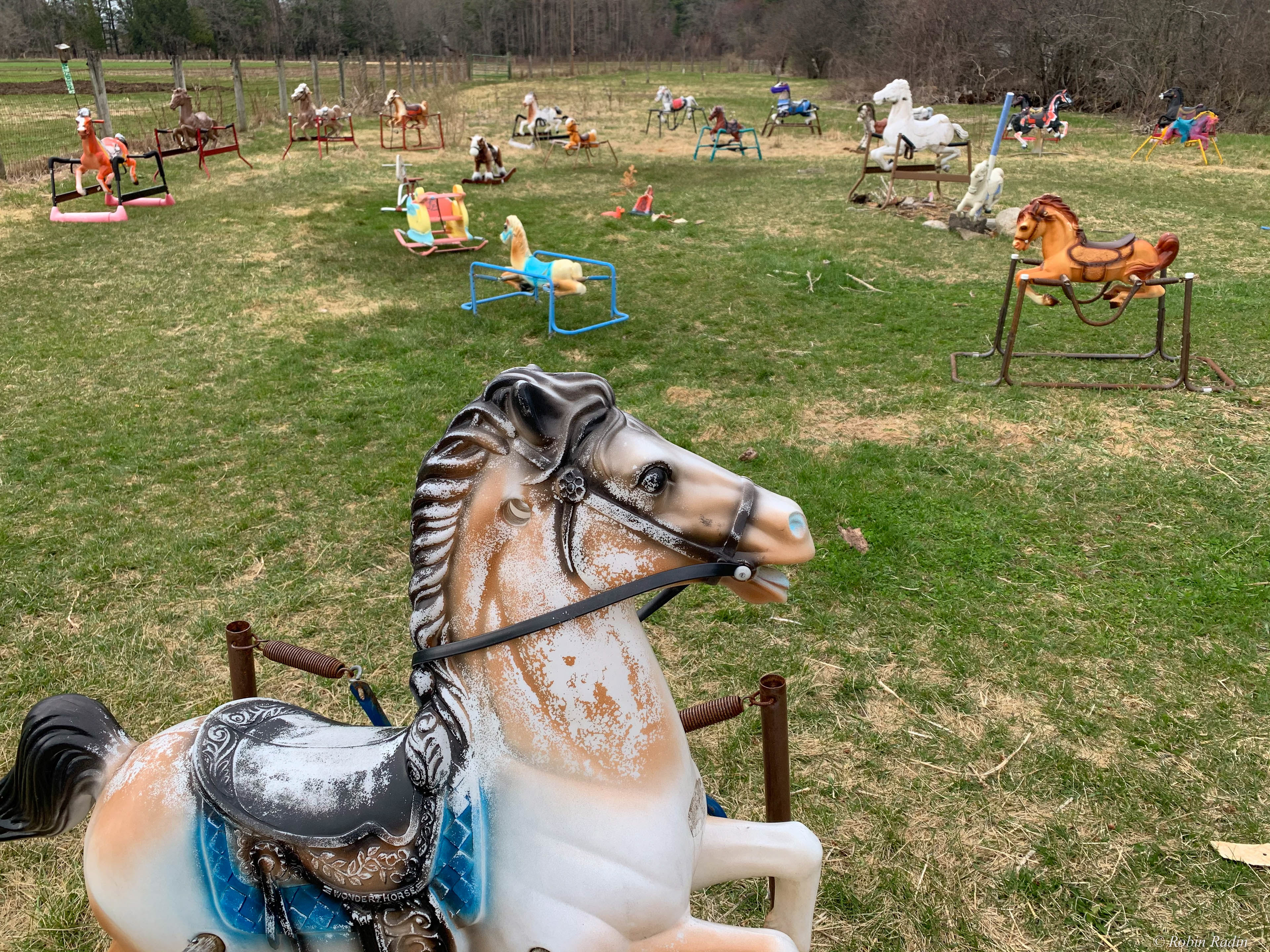 Ponyhenge #2, Lincoln, MA.