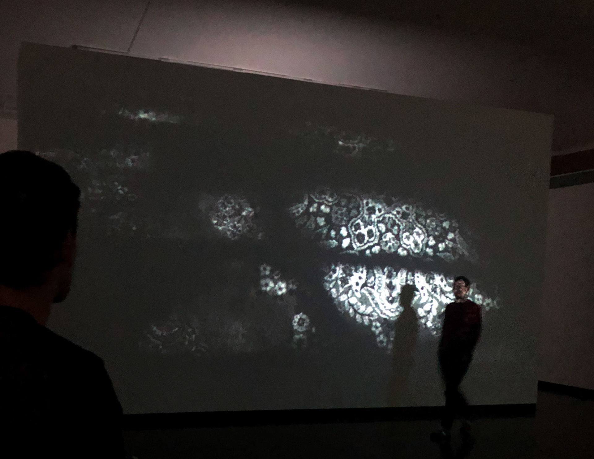 Ghost Echoes, Drill Hall Gallery, June 2019