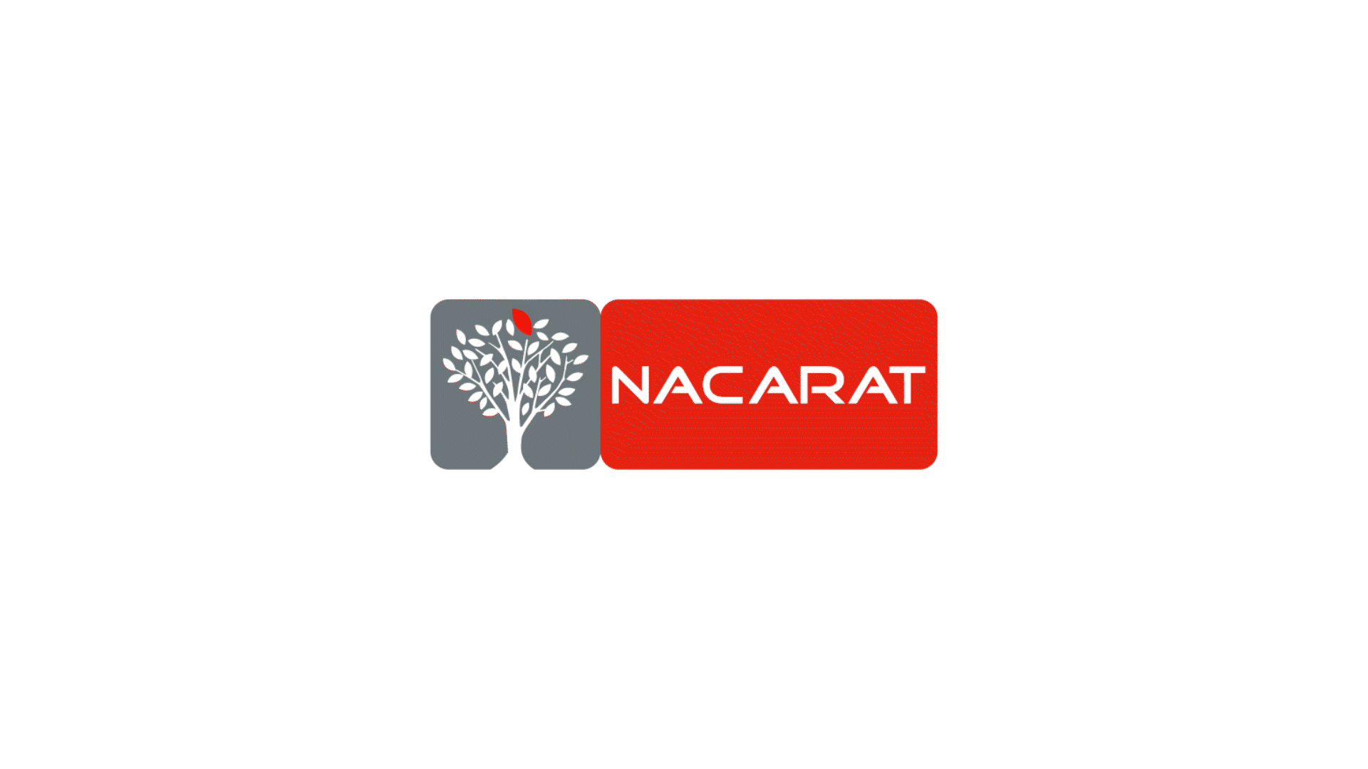 Morphing animation from Nacarat's former logo to the new one