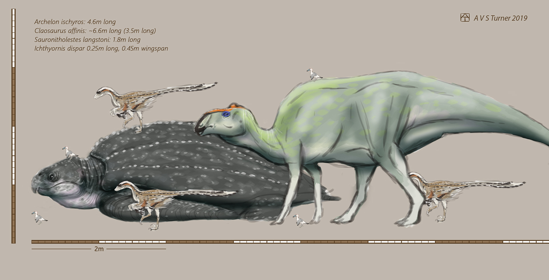 archelon dinosaur