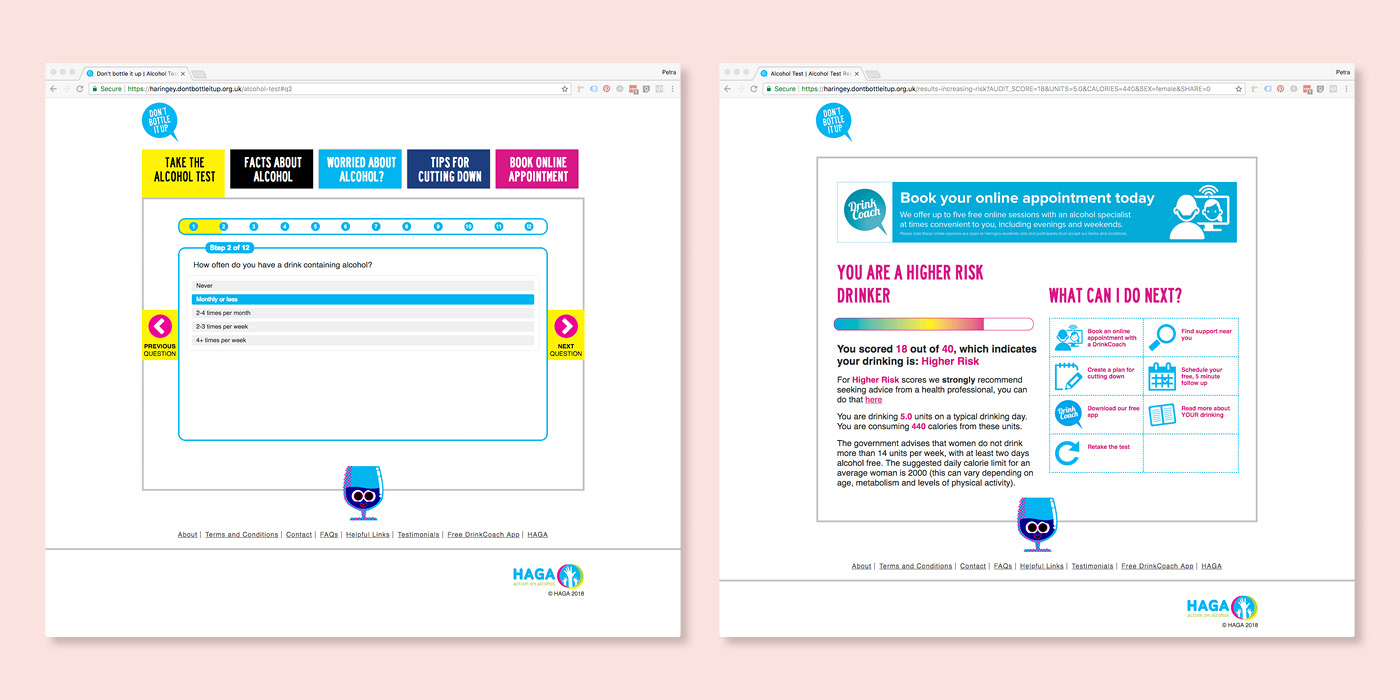 Example of test and results pages