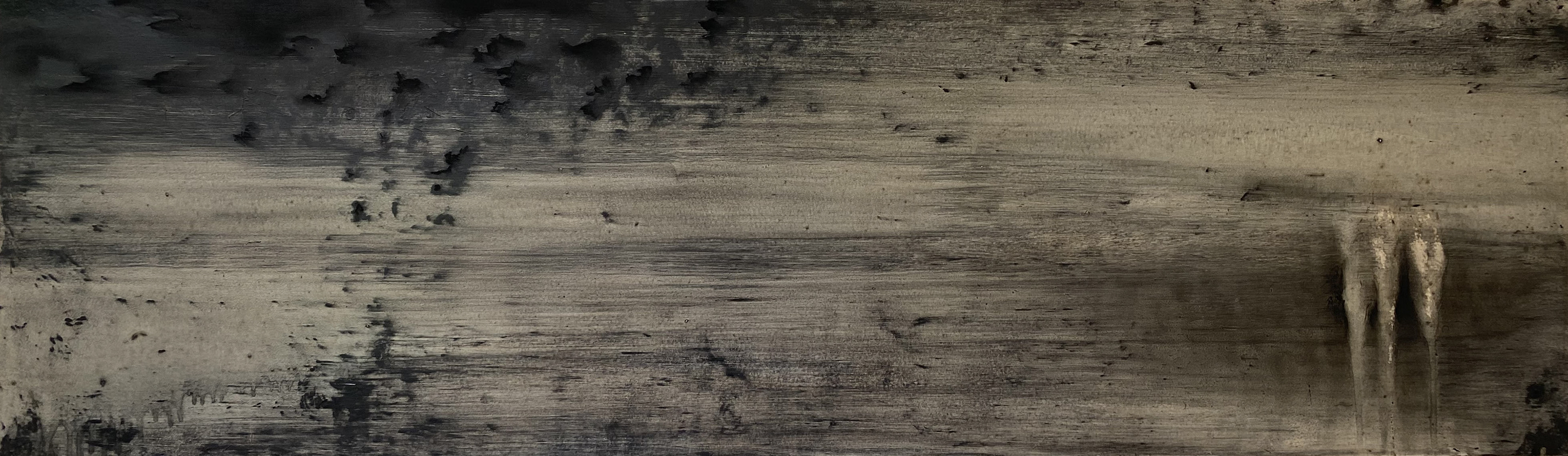 Charcoal and oil on aluminium, 30 cm x 100 cm, 2020