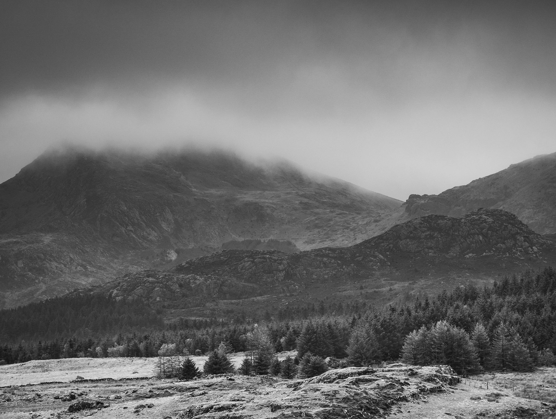 Y Garn 5