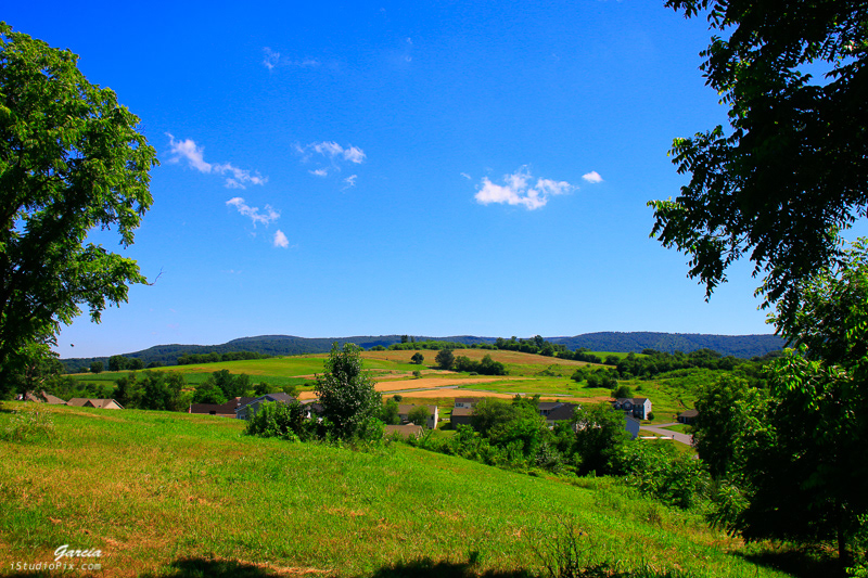 Wayne Heights