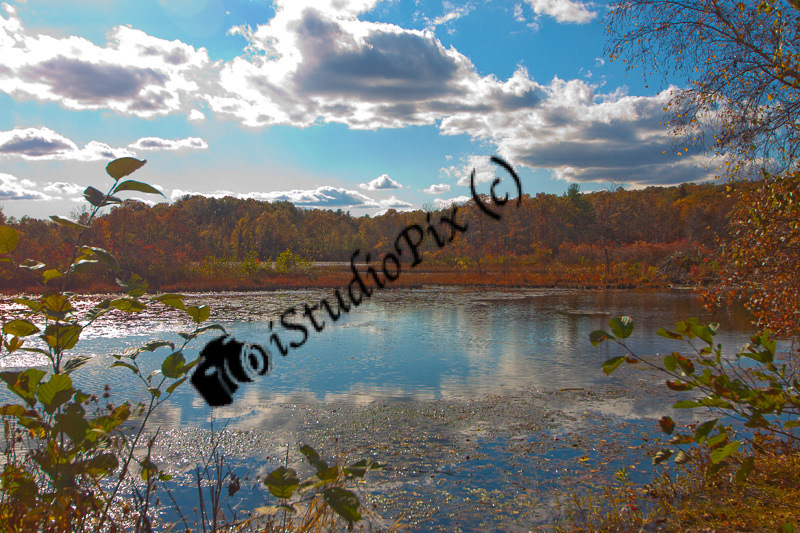 Bolton Pond