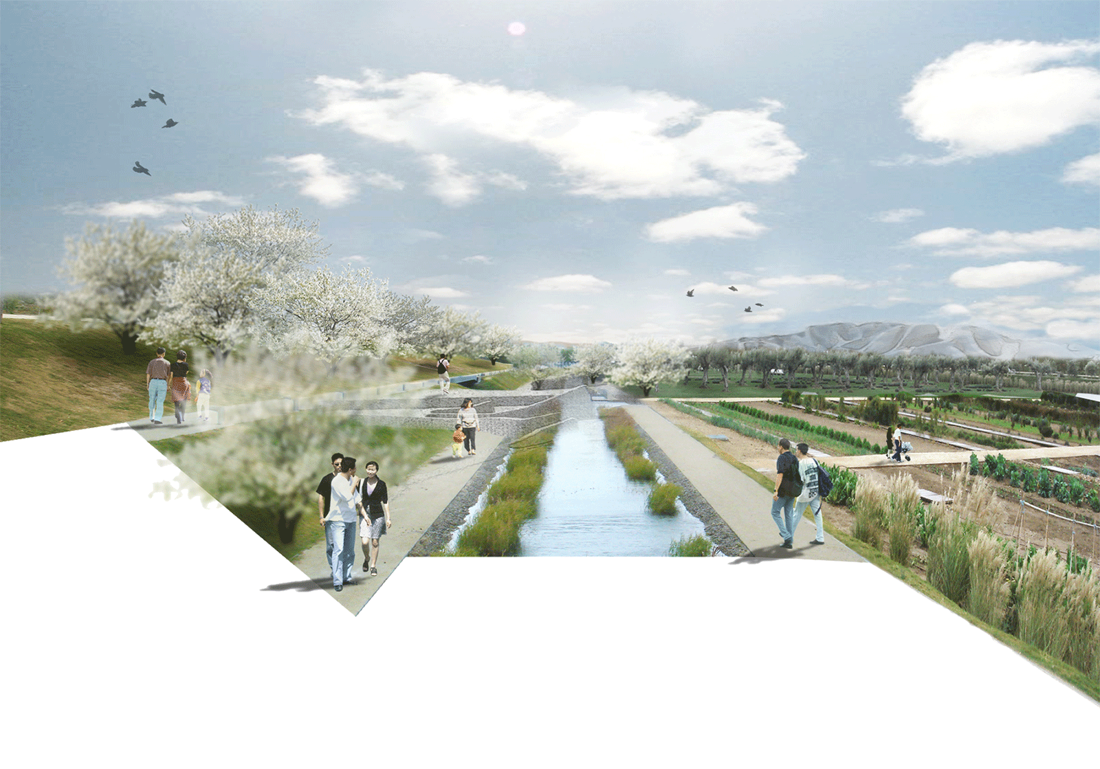 Visualization showing the link of water with agricultural land. Highlighting landscape infrastructure.