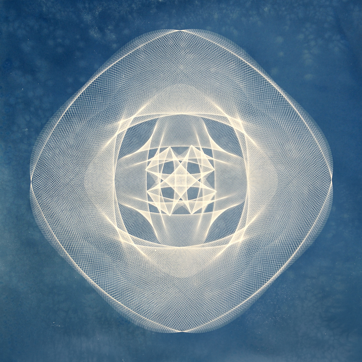 Travis Janssen Type Cyanotypes