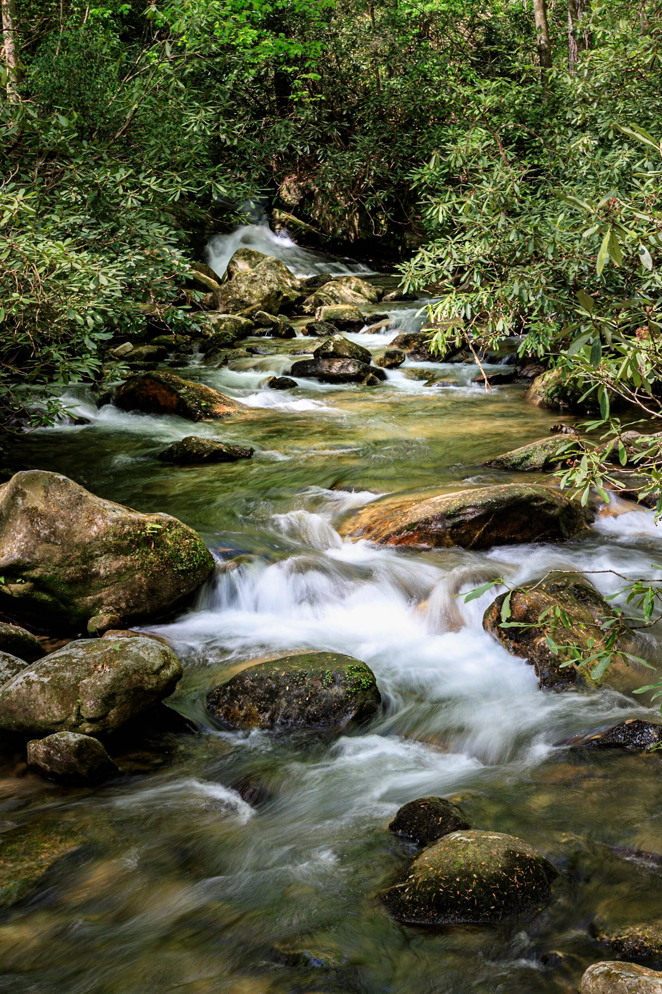 Rushing Downstream