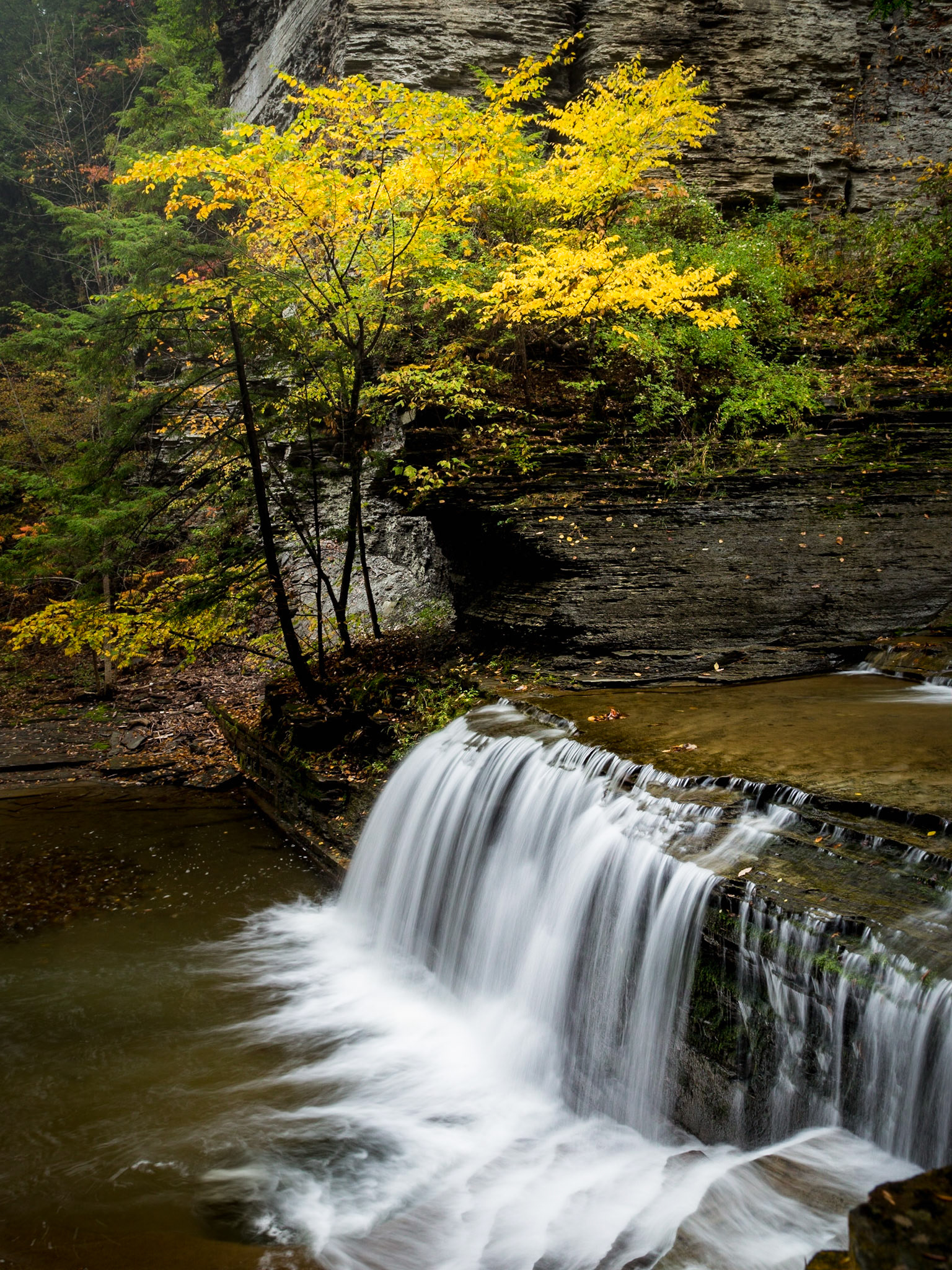 Autumn along the trail in Buttermilk Falls State Park