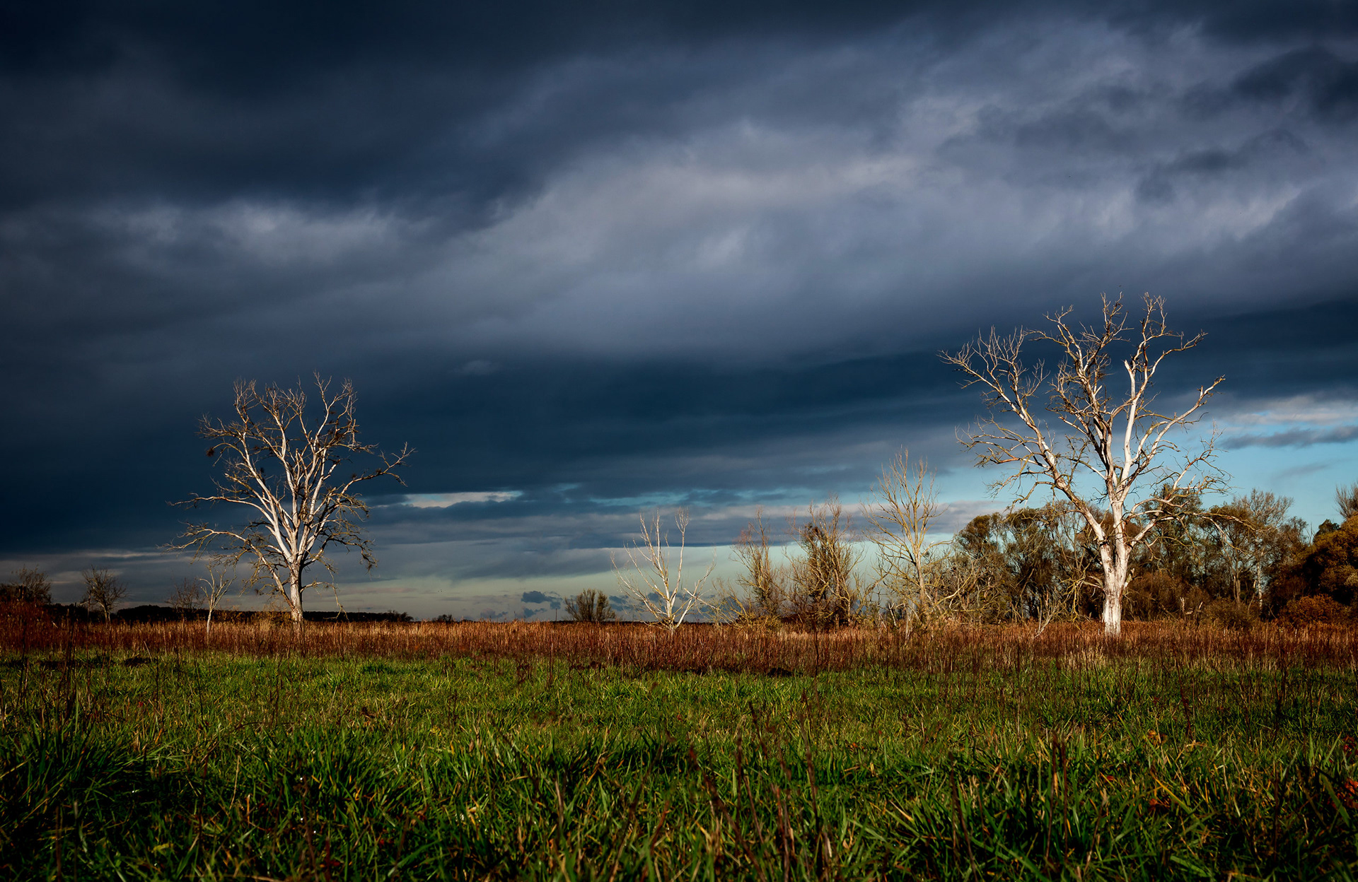 2017 - Osli-Hany, NW Hungary
