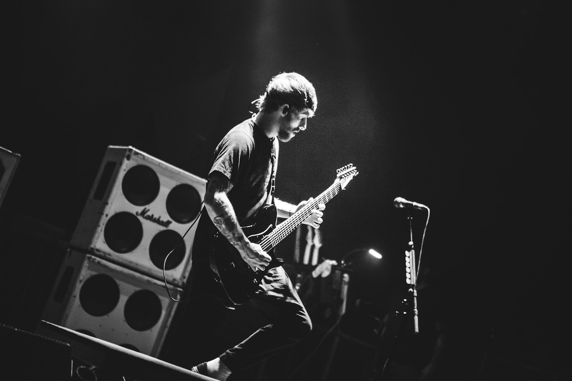 While She Sleeps