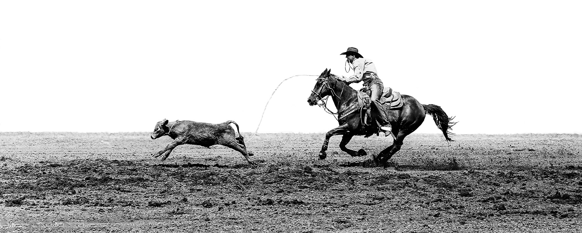 The Roper