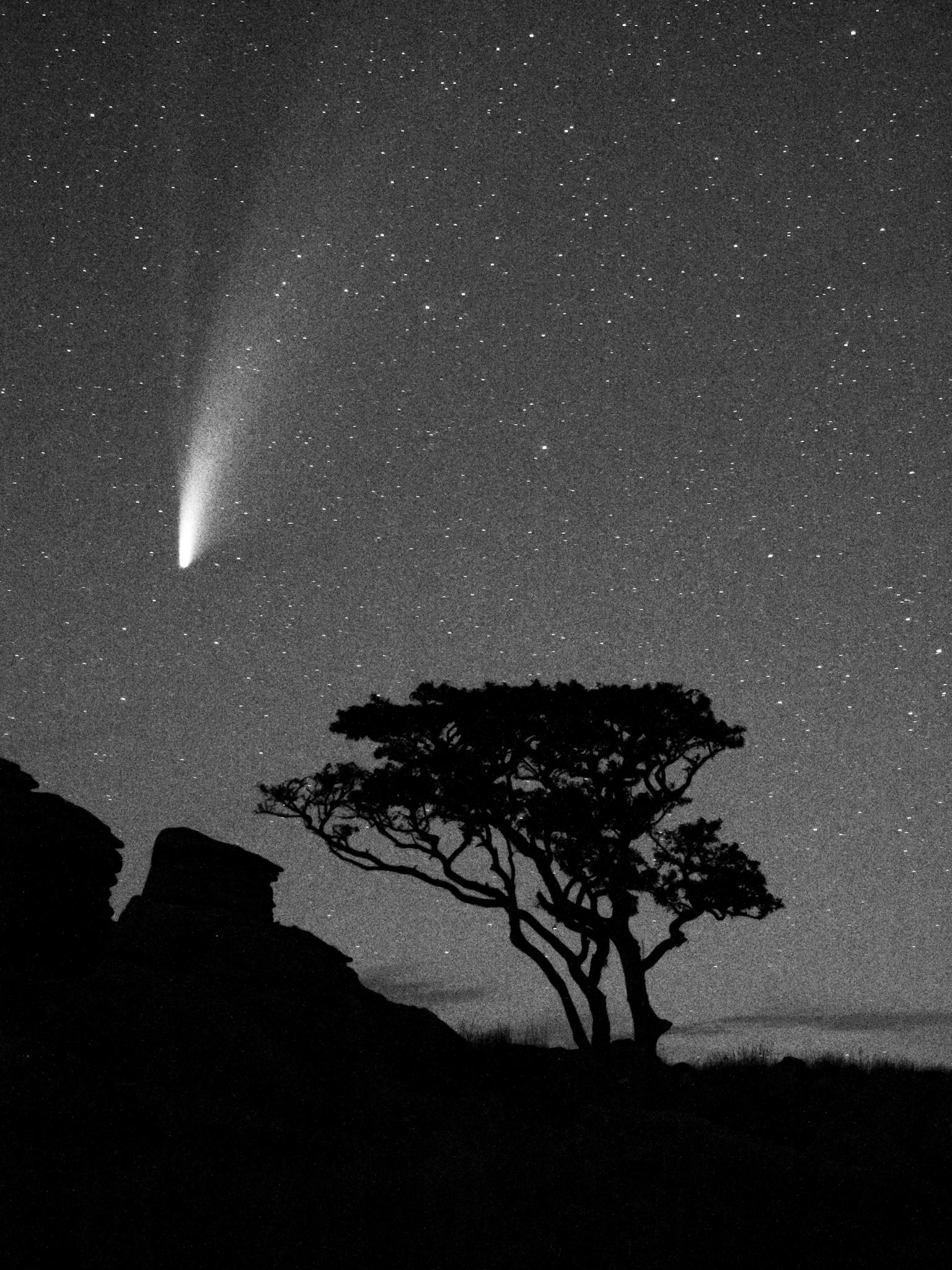 comet NEOWISE over Kings Tor