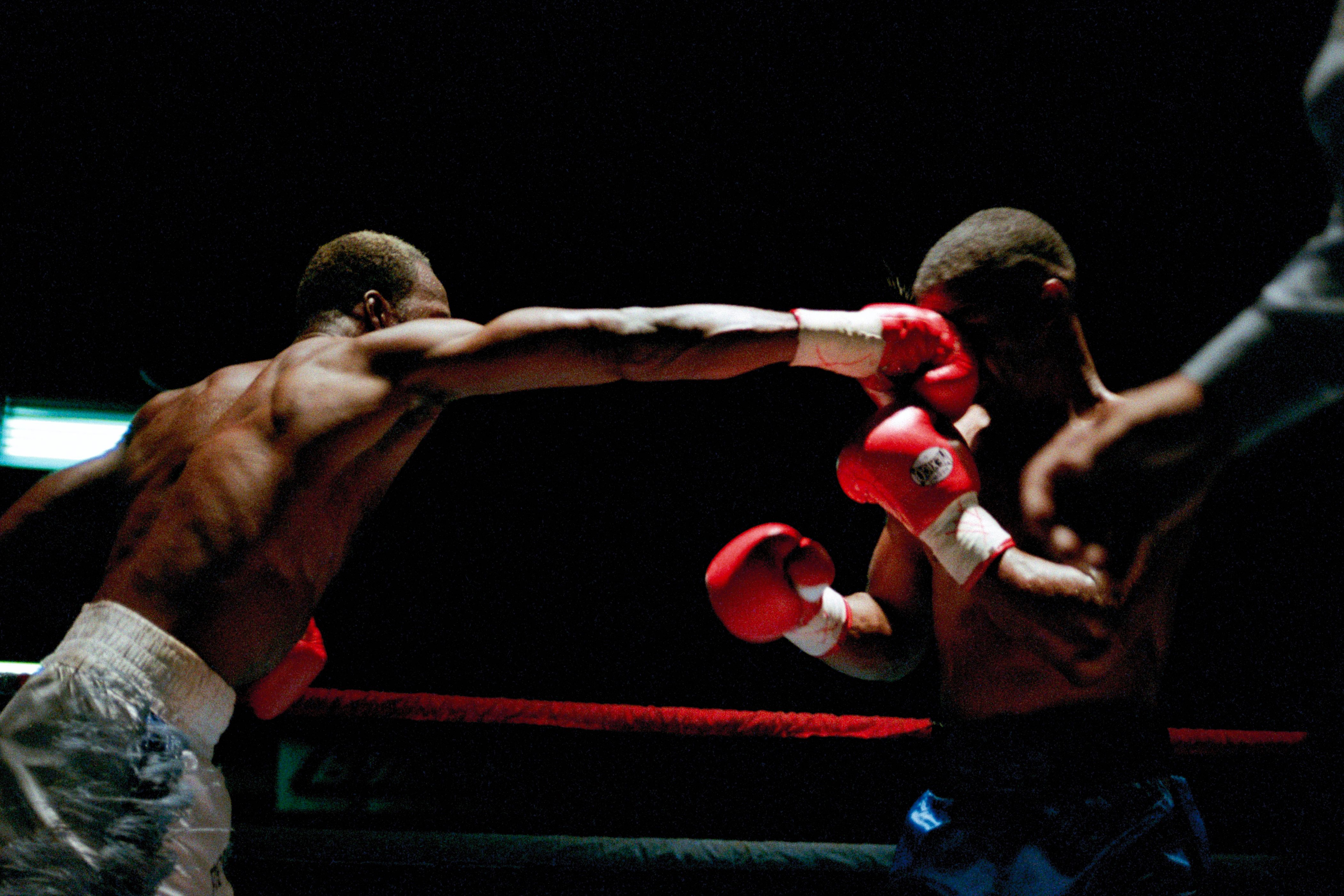 Kathy Suder Photography - Knockout