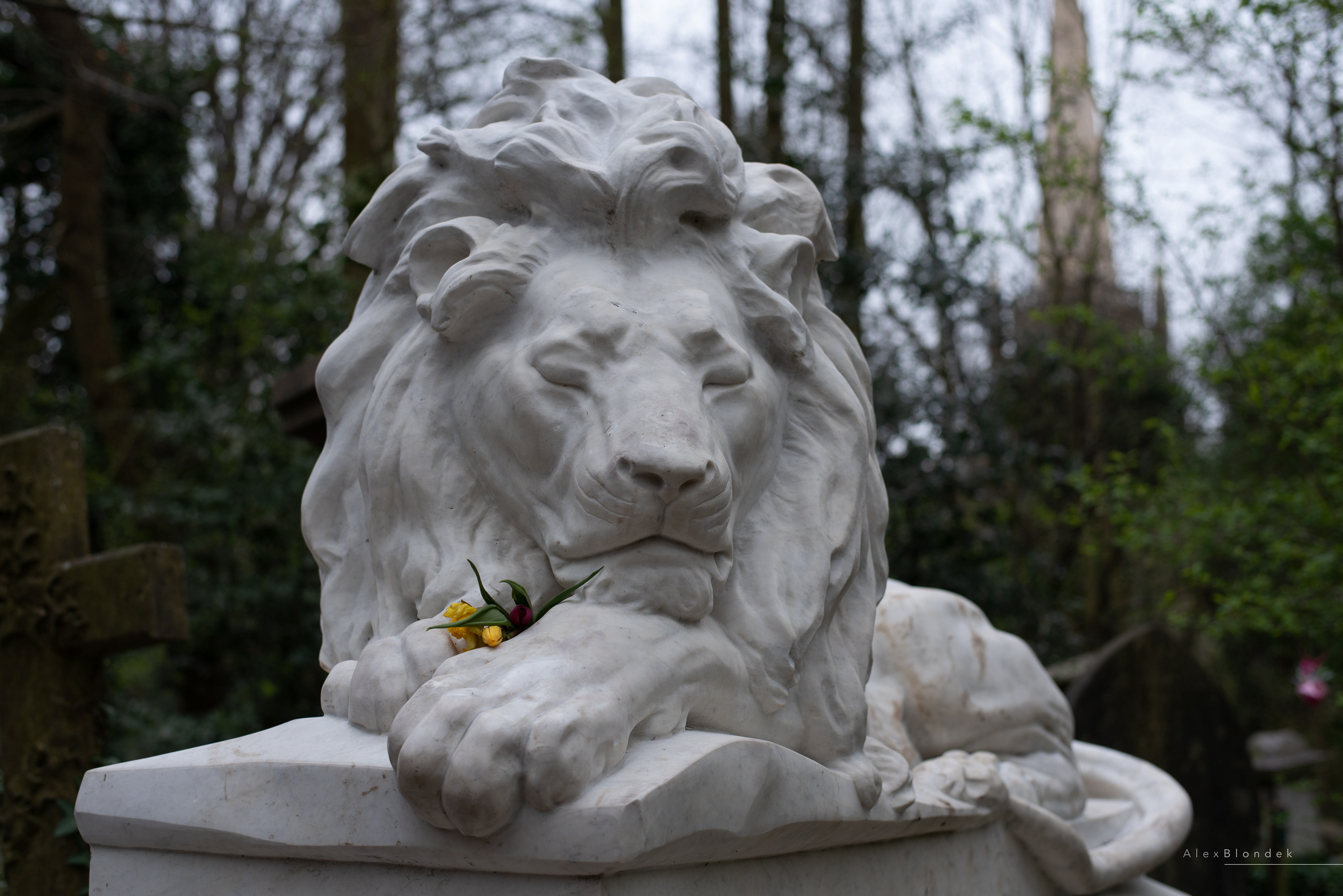 Rest - London