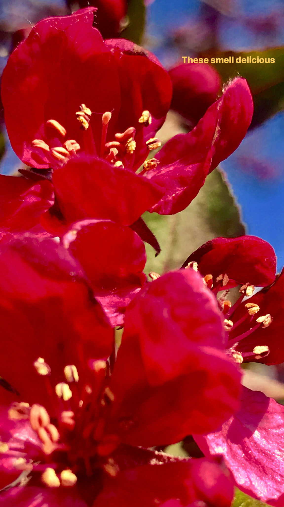 Looking up at red.