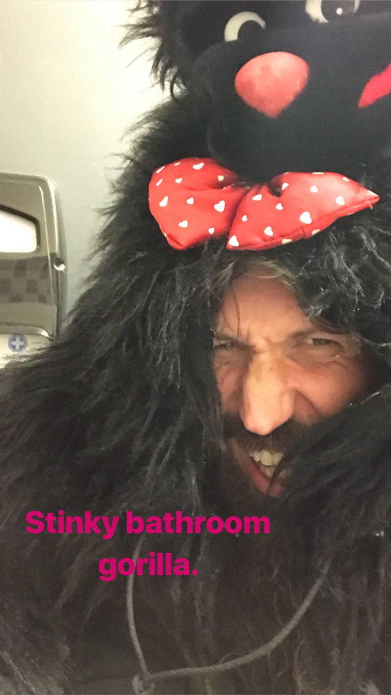 How did the gorilla get into this tiny bathroom?