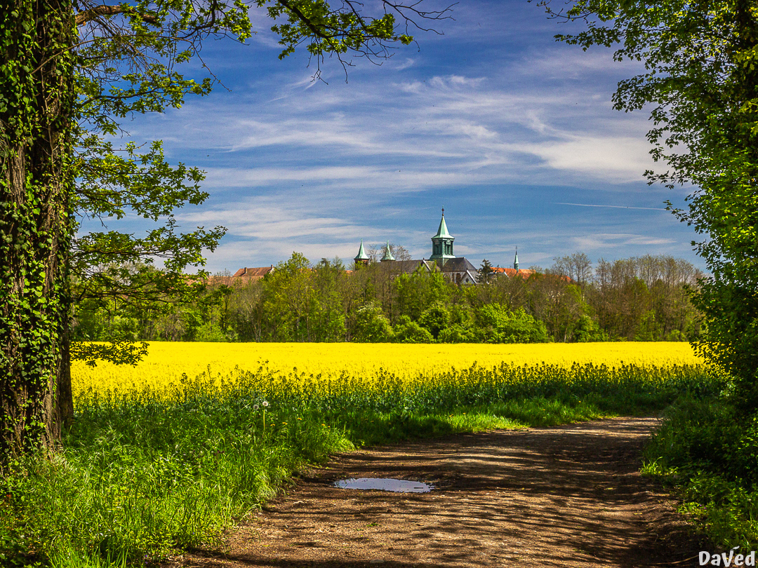 Oelenberg (68)