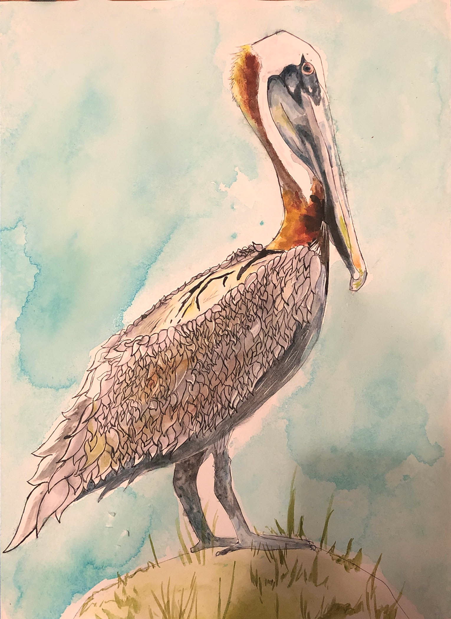 “Pelican”, Watercolor ink , Randall Bounds, Mississippi School of the Arts