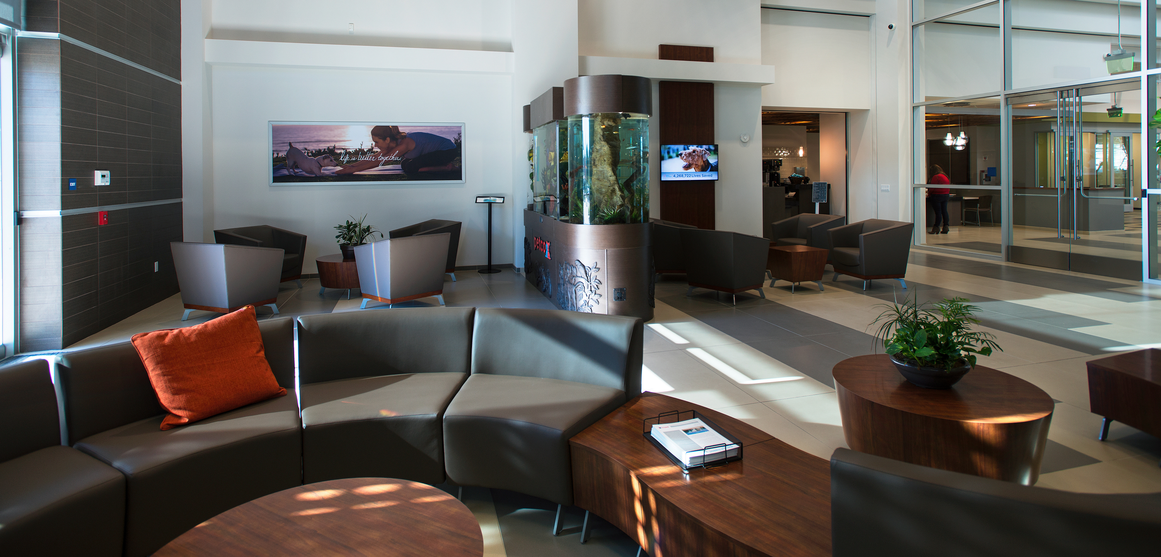 Brand Imagination Petco New Corporate Headquarters Experience