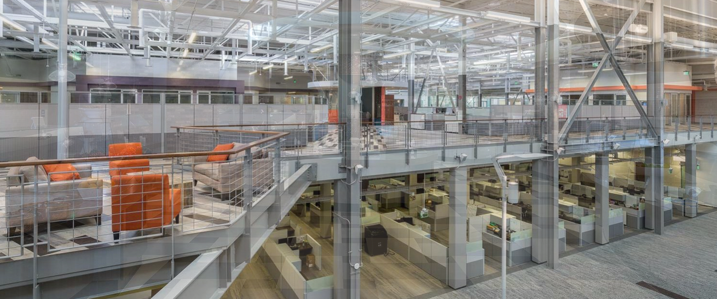 Brand Imagination Petco New Corporate Headquarters Experience