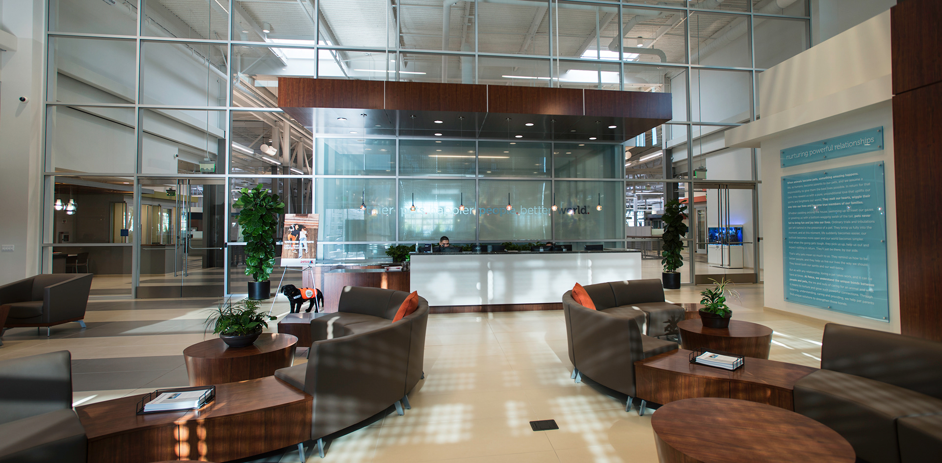 Brand Imagination Petco New Corporate Headquarters Experience