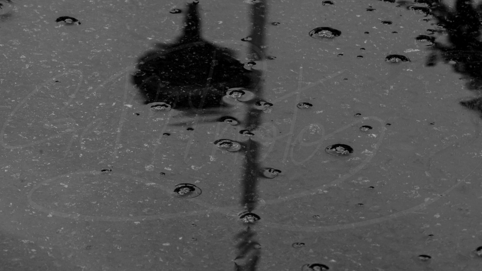 Rain drops