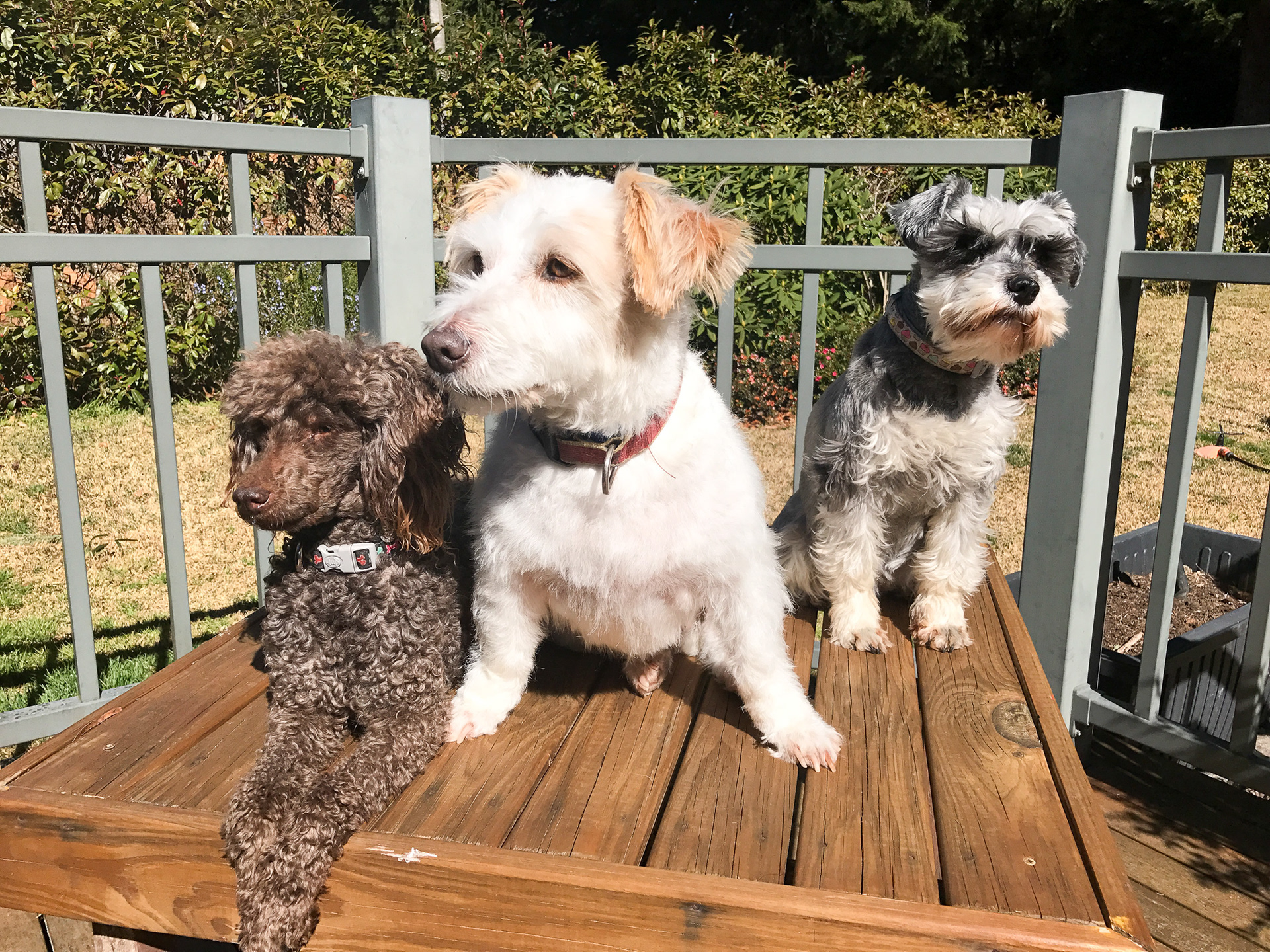 Charlie, Jack, Audrey