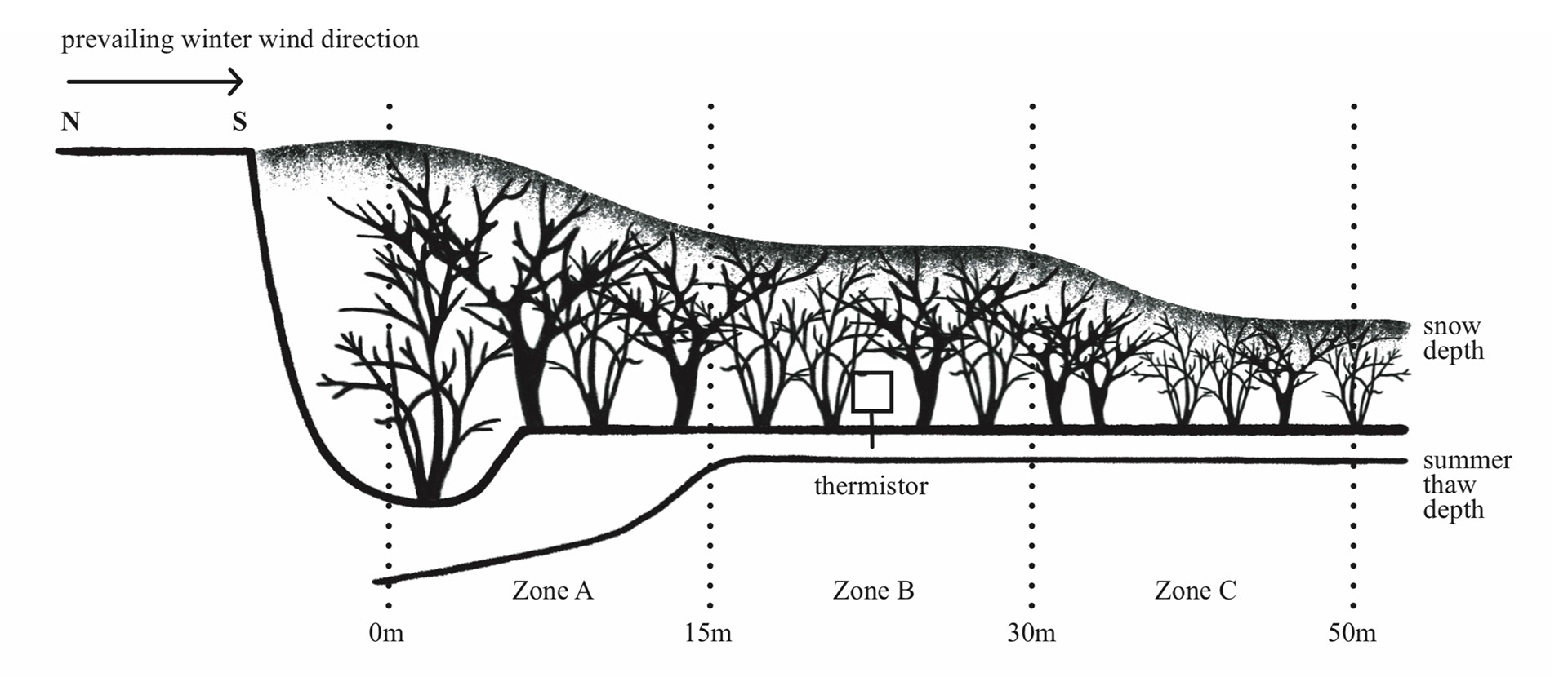 illustrated figure commissioned for a research paper