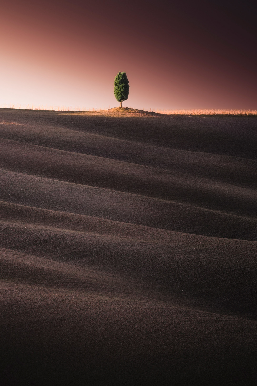Pattern - Val d'orcia -
