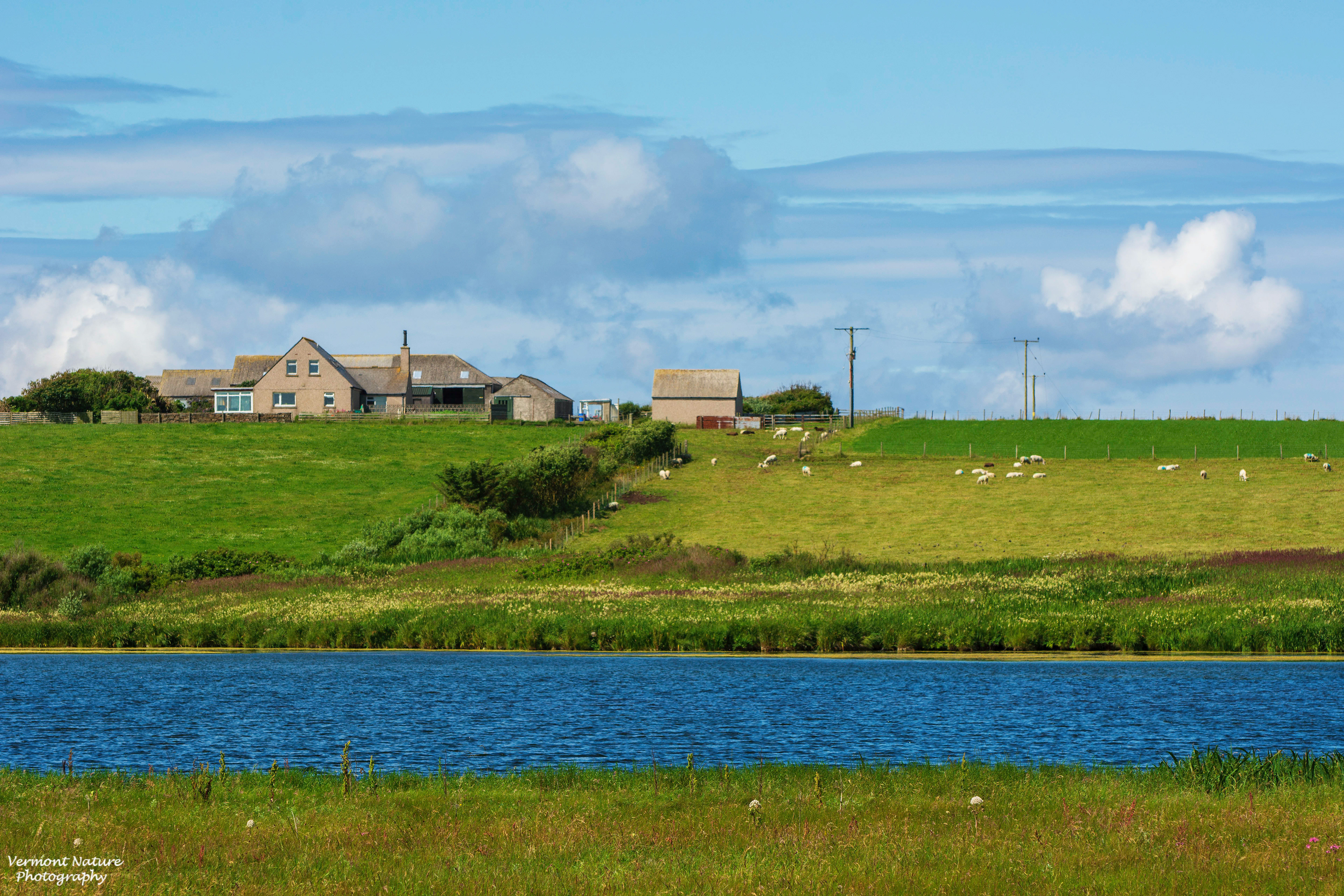 “Outskirts of Kirkwall” - Kirkwall, Scotland