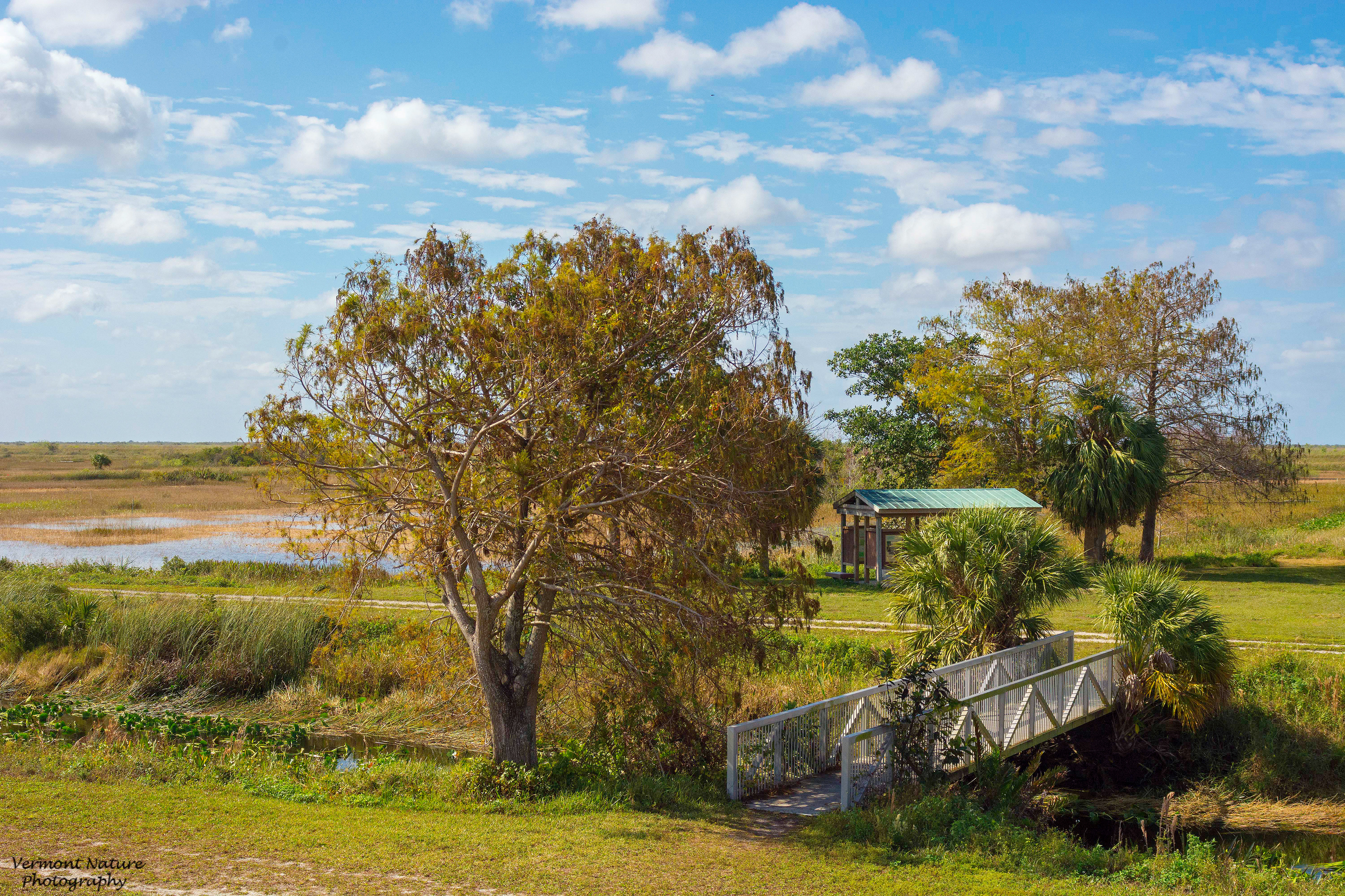 “Loxahatchee” – Boynton Beach, FL
