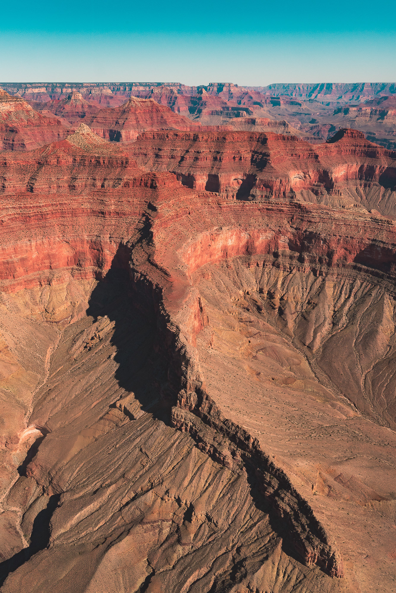 Grand Canyon National Park (4)