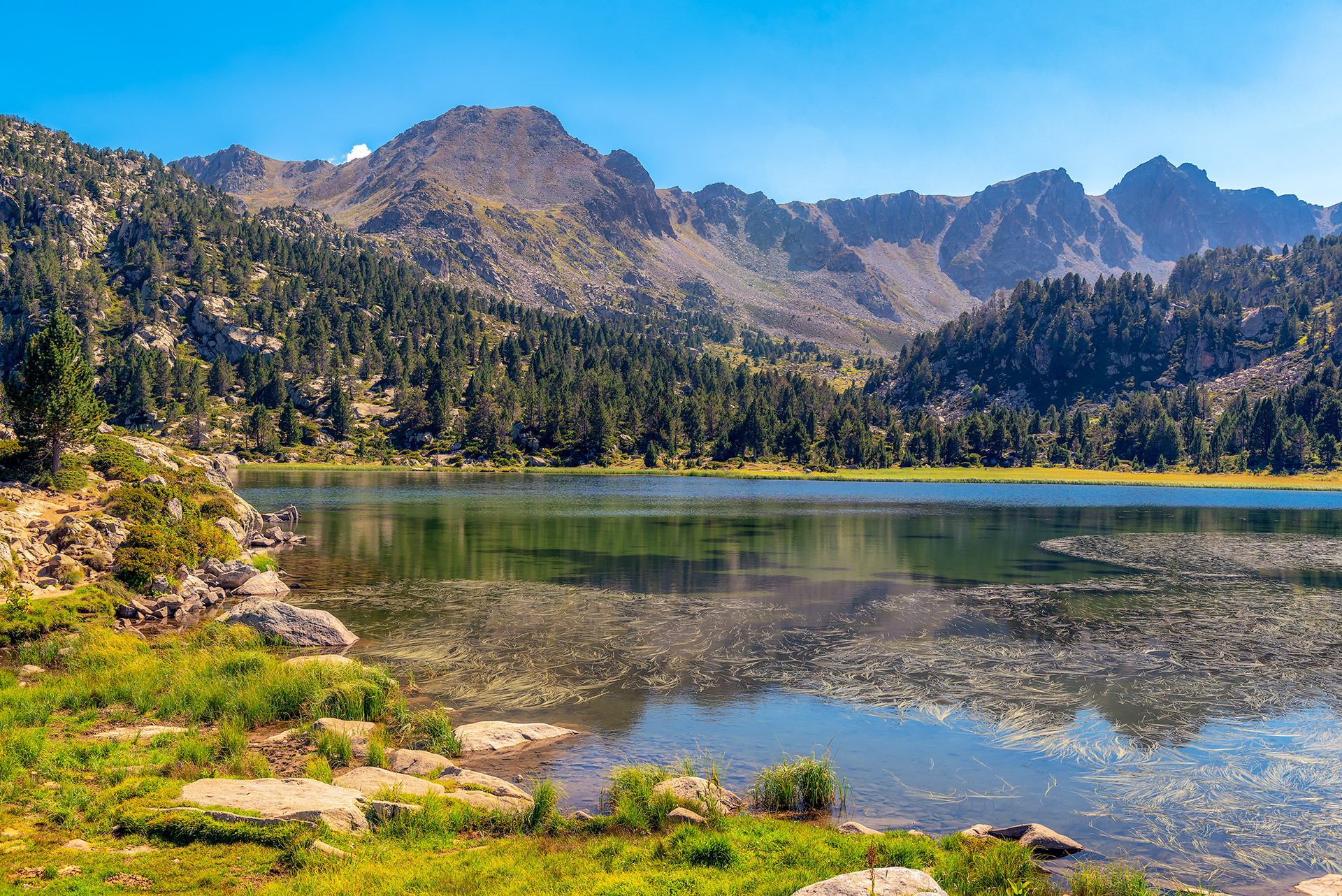 Pessons Lake | © All rights reserved