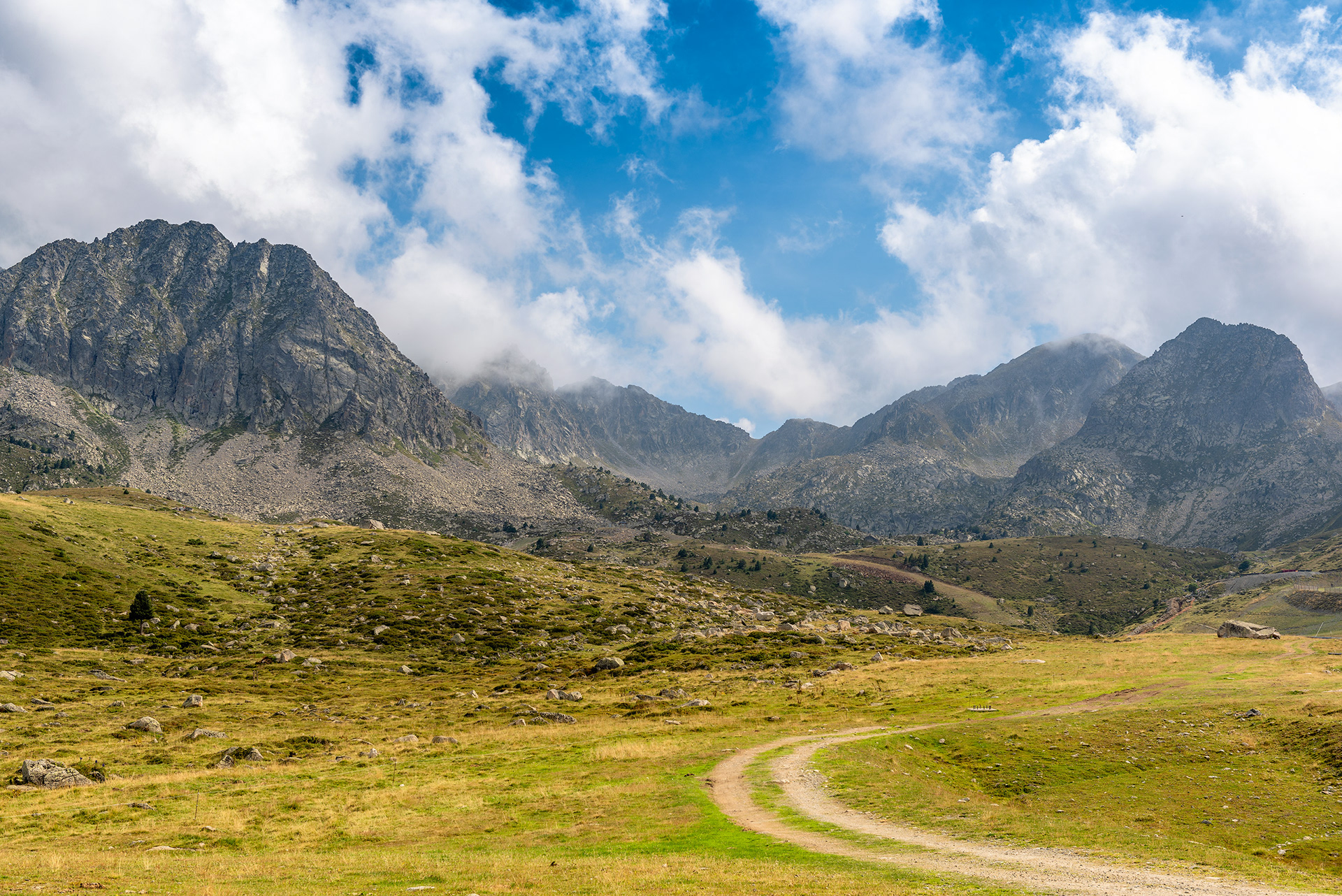 The “Peaks” of Summer (2) | © All rights reserved
