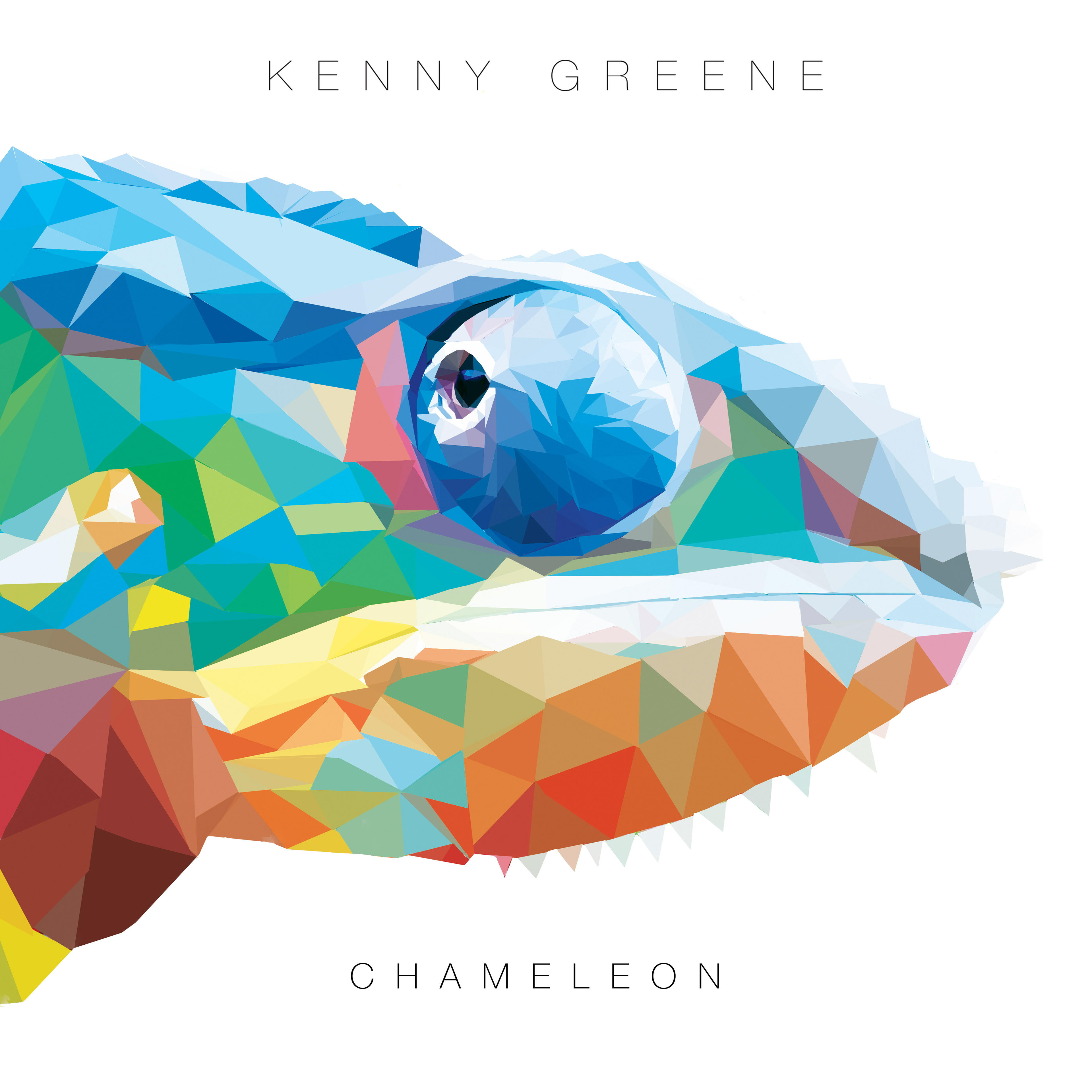 CHAMELEON is an album cover design, completed in Adobe Photoshop. This polygon rendering is a whimsical yet simplistic design.The product was sold to a record label, and can be viewed across the web on music streaming sites such and Soundcloud and Spotify.