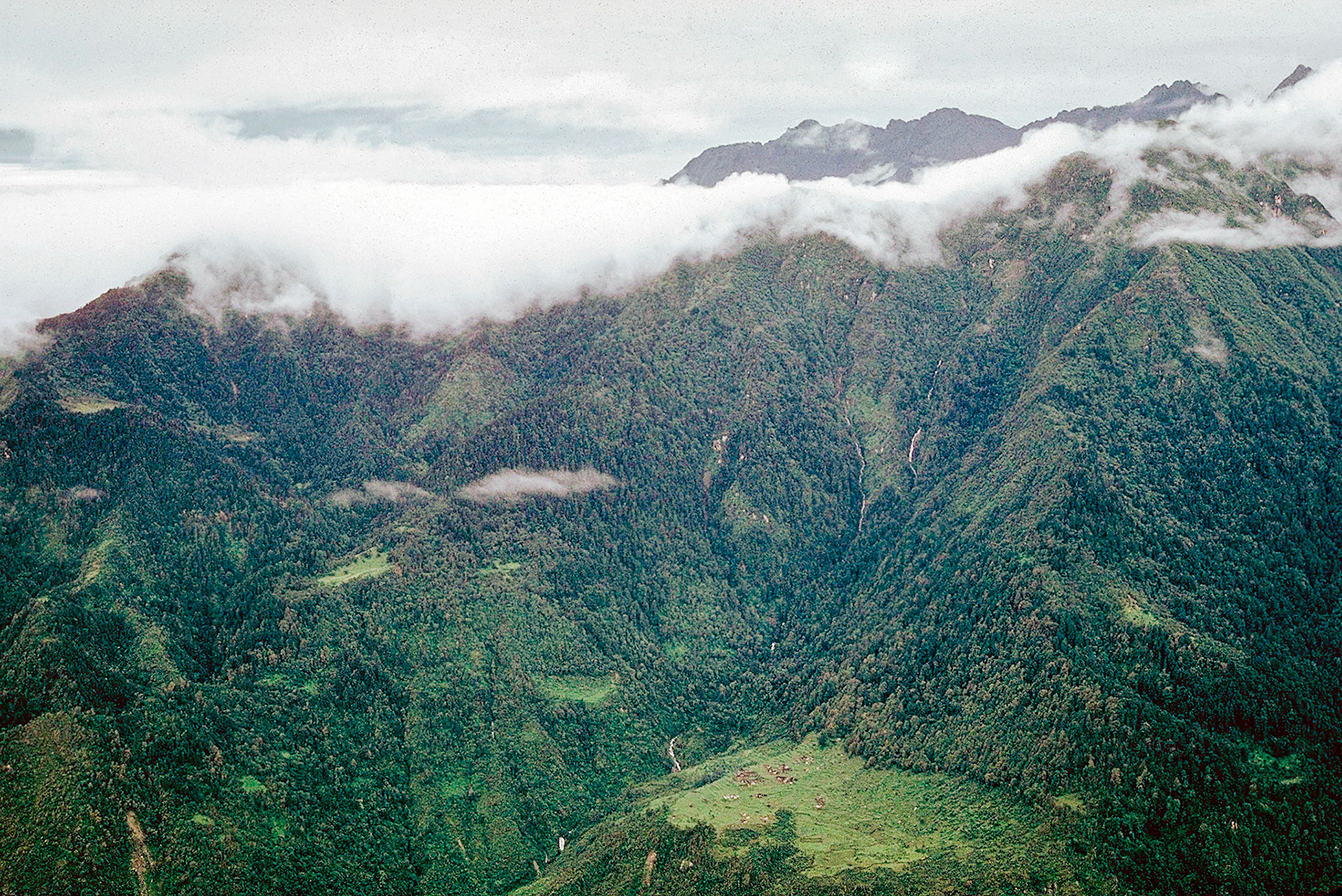 Melemchi from Yangri Gang 1972