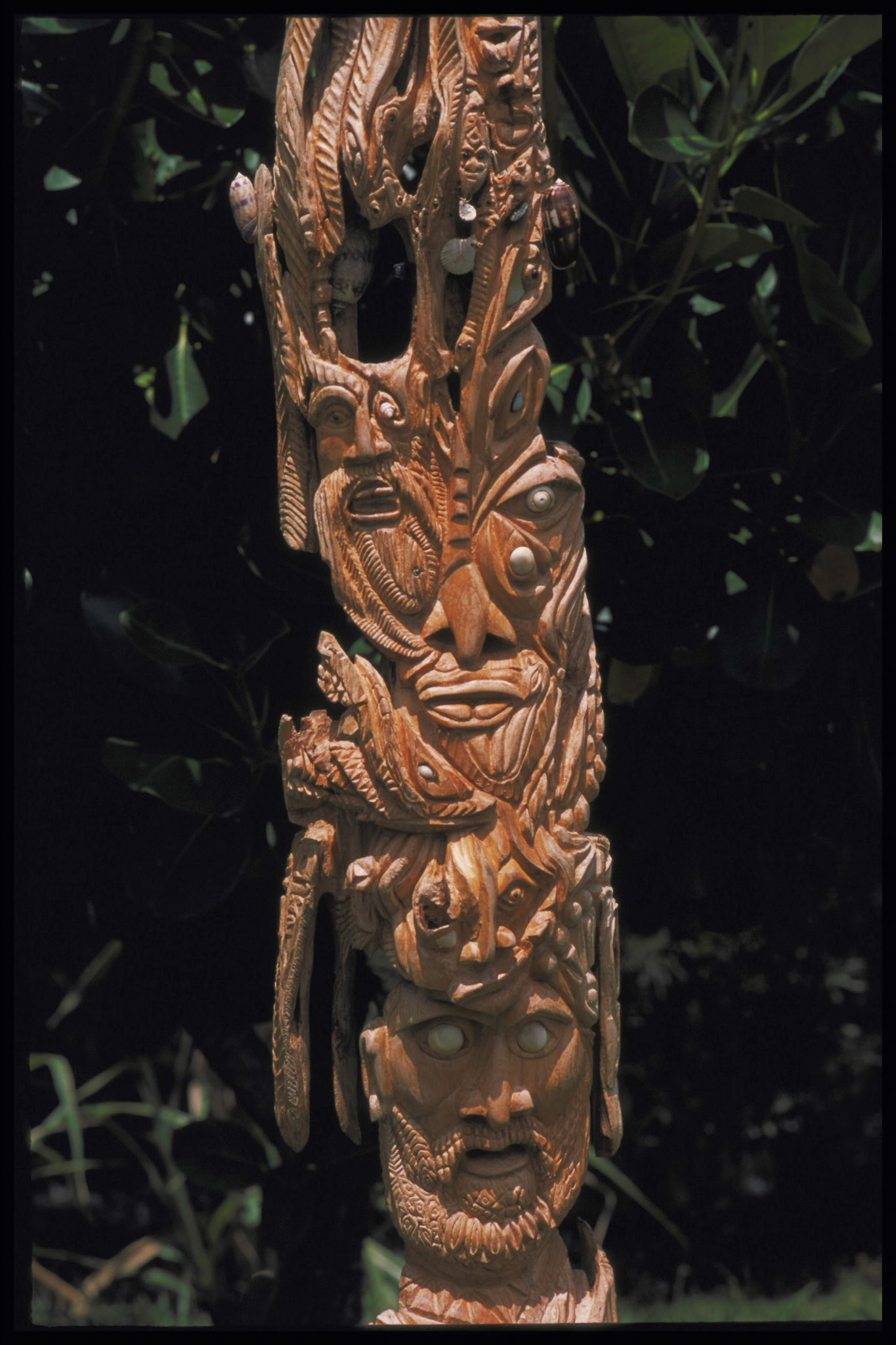 color reversal: KODAK UNIVERSAL E6. SBA settings neutral SBA off, color SBA on