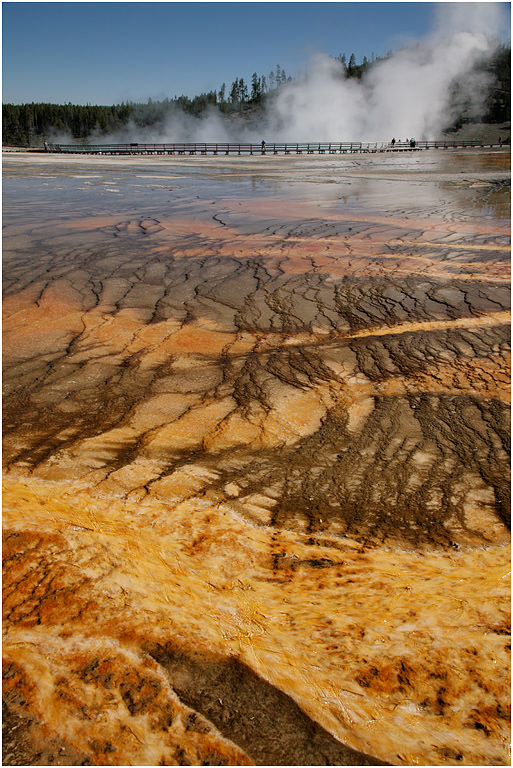 Thermophile Ribbons, Midway Geyser Basin, Yellowstone NP