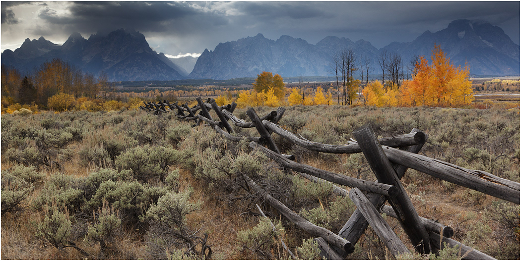 Autumn colour, The Tetons, Teton NP, USA