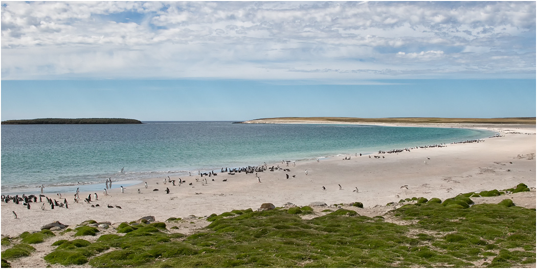 Long Beach, Bleaker Island