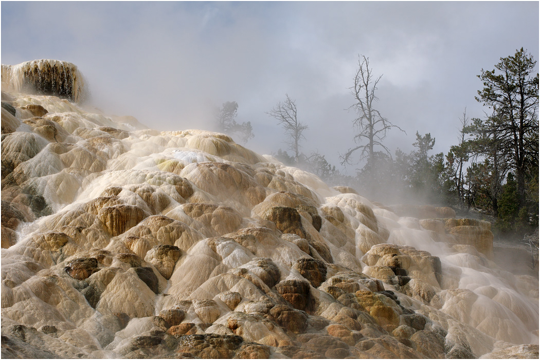 Palette Spring, Mammoth, Yellowstone NP