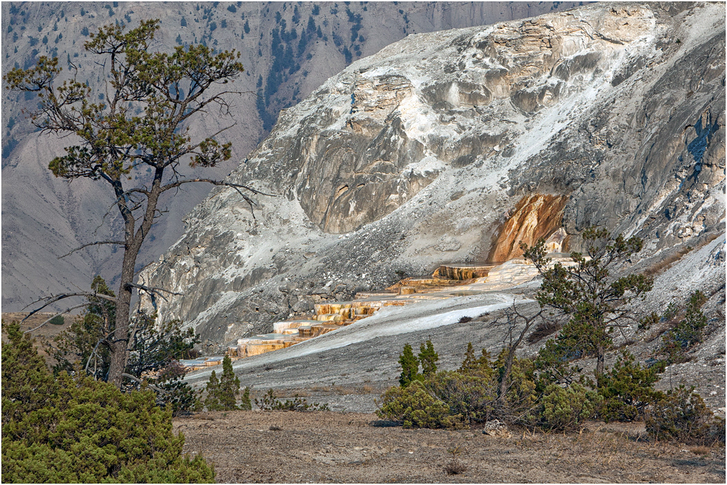 Mound Spring, Mammoth, Yellowstone NP