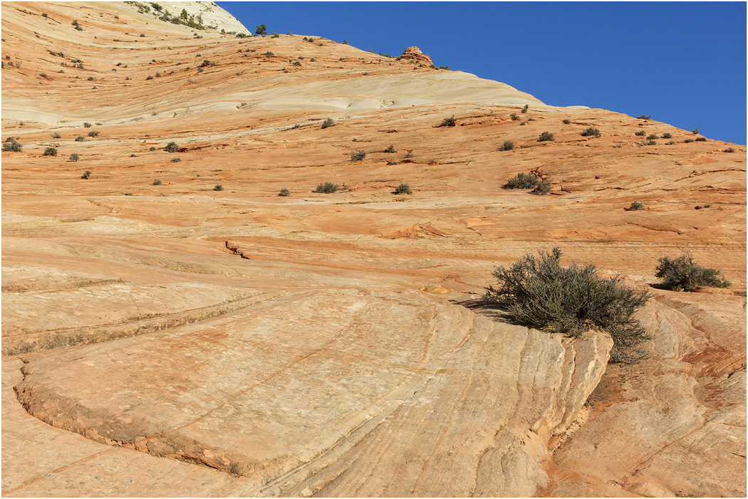 Cross-bedded Navajo Sandstone, near Zion, Utah